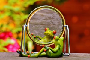 frog figurine staring into a mirror